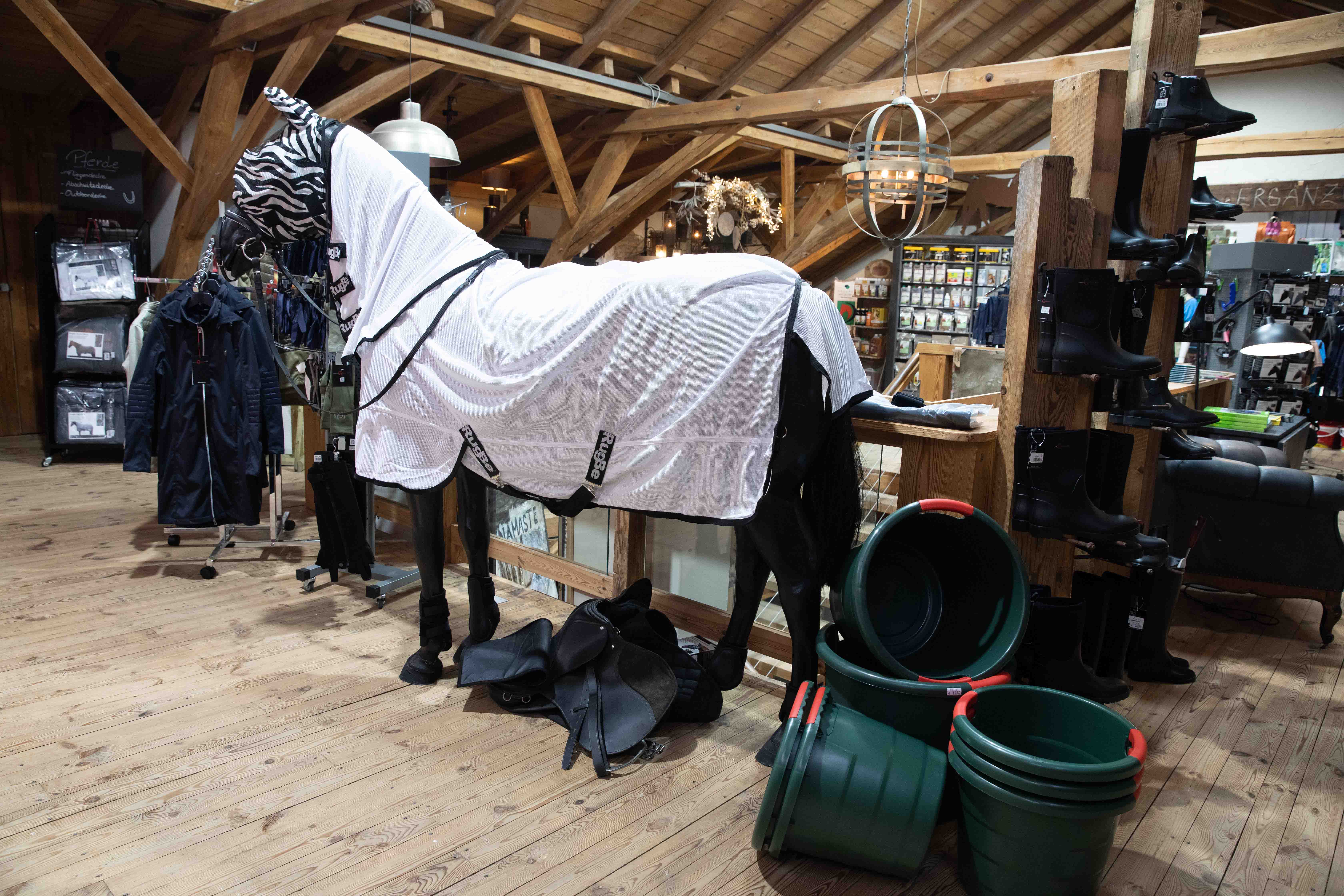 Meier's Vielfalt - Pferd und Reiter